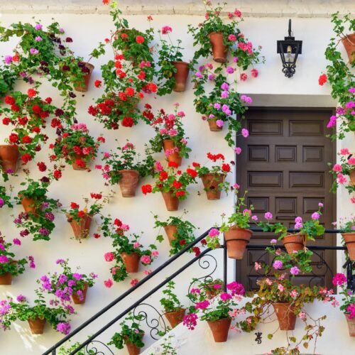 Patio Cordobés