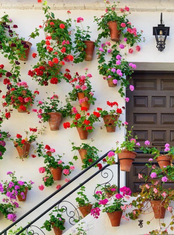 Patio Cordobés