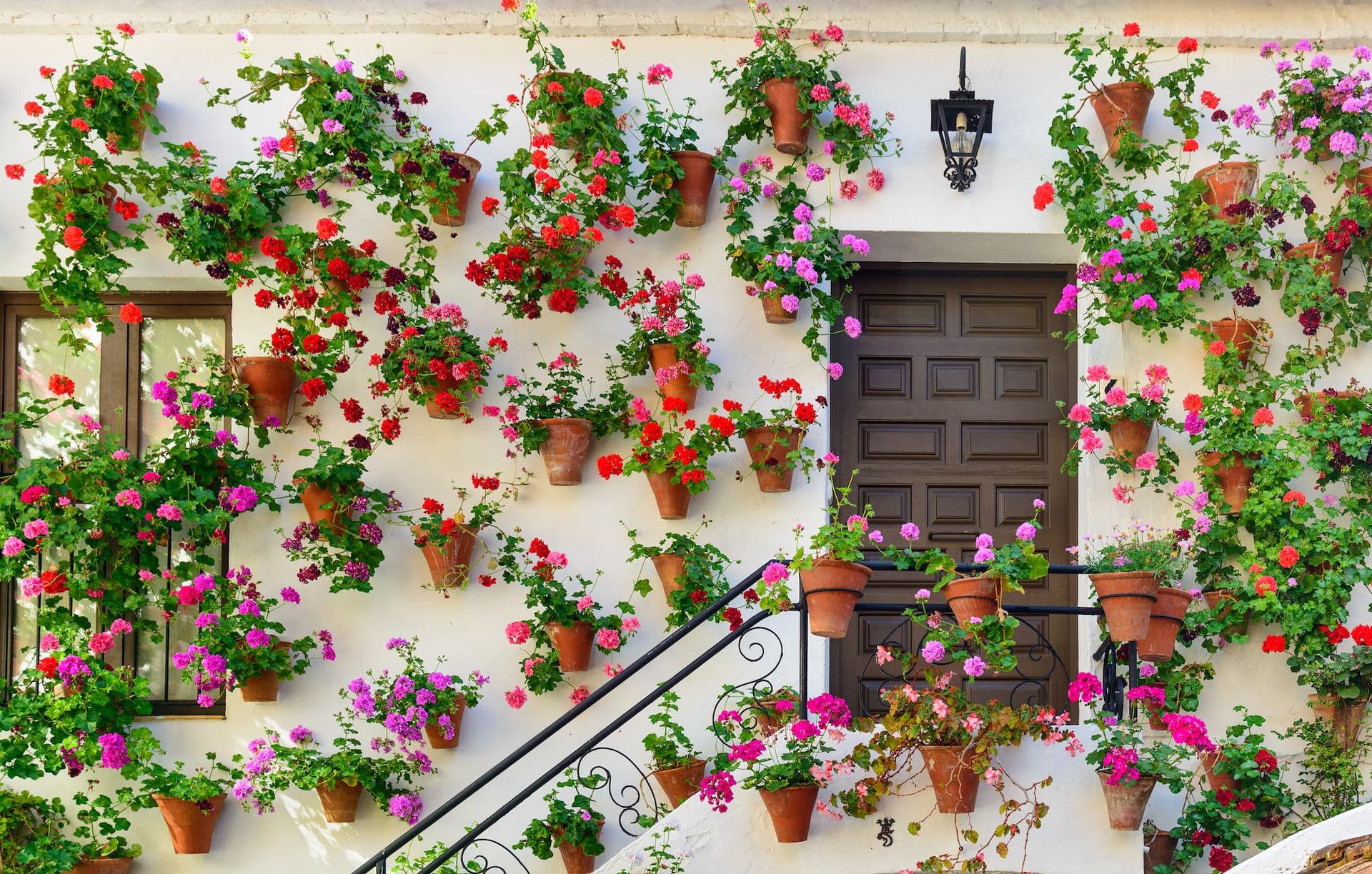 Patio Cordobés